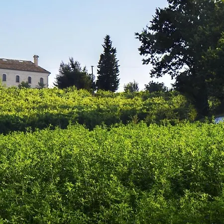 2 Bedrooms Appartement With Shared Pool And Wifi At Montecarotto Casa Vici